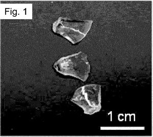 Pure-ZI F-8-monoliths-(monoZIF-8)-are-transparent