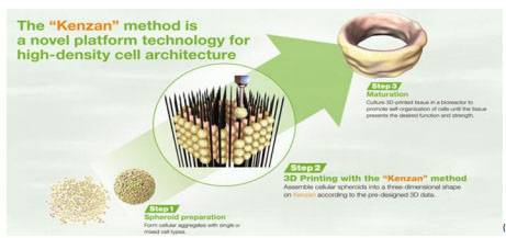Cyfuse-Medical-introduced-a-newer-3D-bio-printing-method