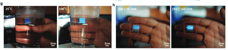 interactive-skin-display-with-epidermal-stimuli-electrode