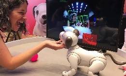 artificial-intelligence-pet-robotics