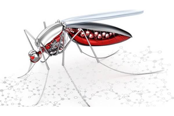 cutting-edge-approaches-to-aedes-aegypti-control