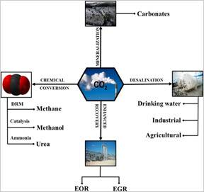 various carbon-utilization pathways