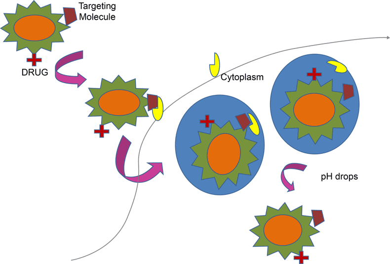 qds as drug delivery systems