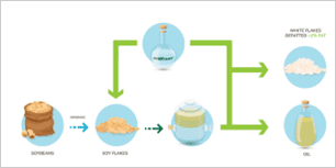 Green Solvents