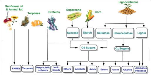 Sources of bio-based solvents