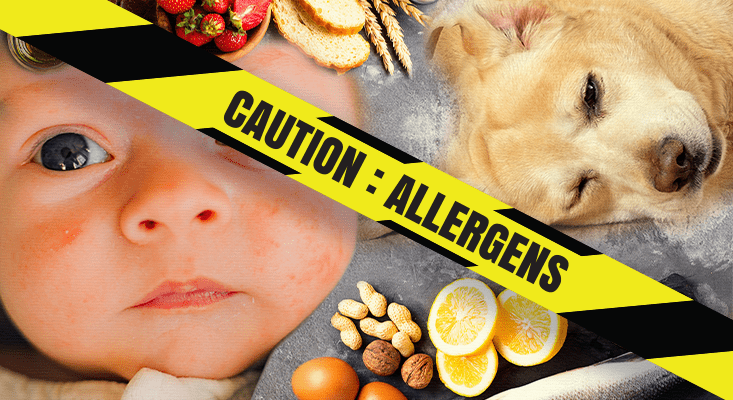 Allergen Free foods