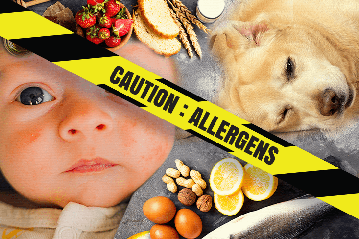 allergen-free-foods