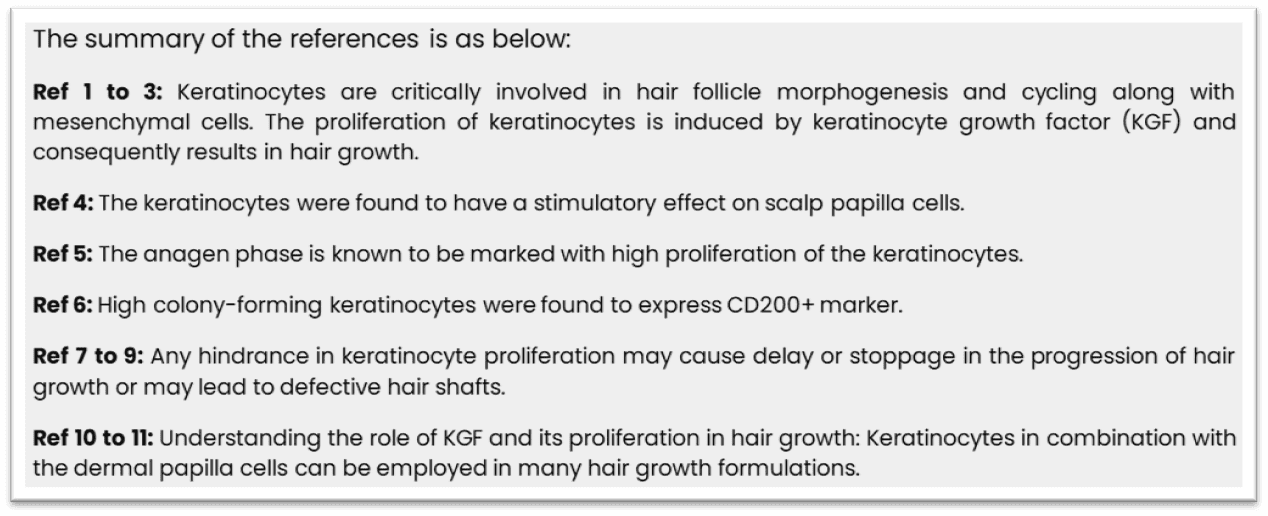 What is the relationship keratinocytes cell division and the hair fiber production?